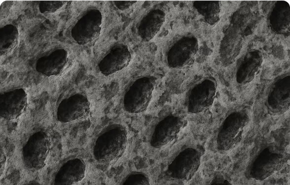 1. Before Using NanoGum