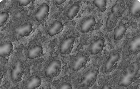3. After 12 Weeks of Using NanoGum